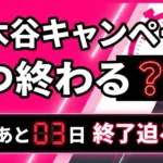 Rakuten Mobile campaign period